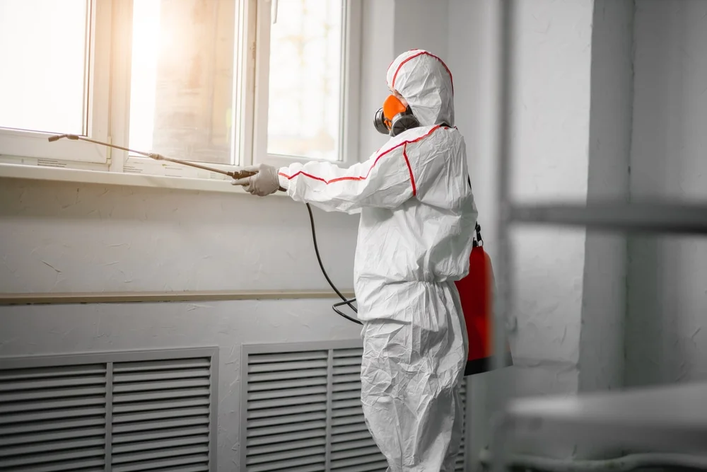 Professional mold remediation services in Bacliff, TX